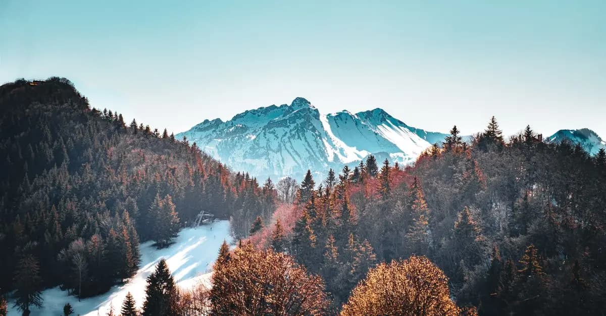 Les meilleures destinations d'expédition en 2026 à ne pas manquer