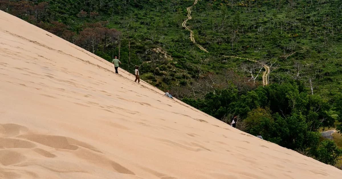Les tendances d'expédition à suivre pour des aventures inoubliables