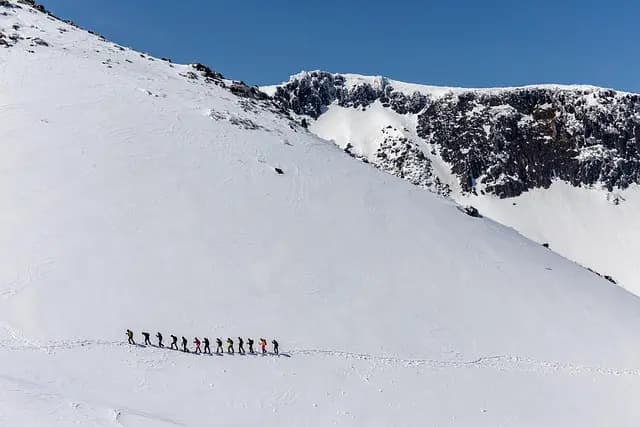 Comment choisir le meilleur guide d'expédition pour vos aventures