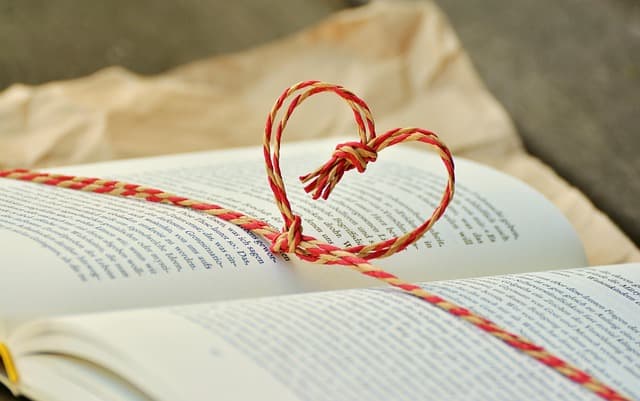 Comment choisir le bon équipement d'expédition pour chaque aventure